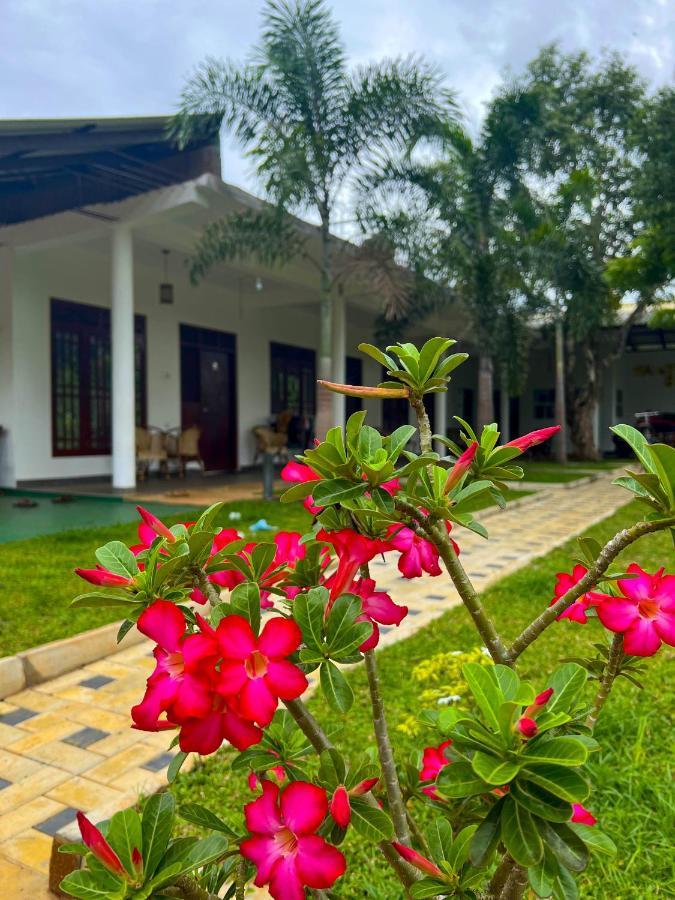 Sigiriya Green Garden Home Ngoại thất bức ảnh